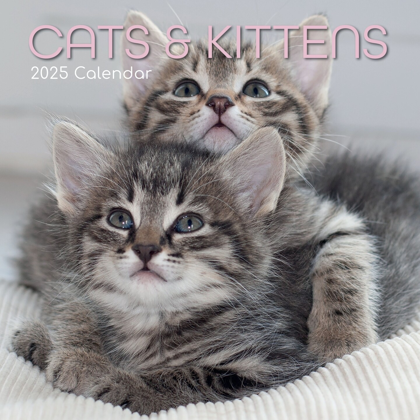 September 2025 Calendar Cat