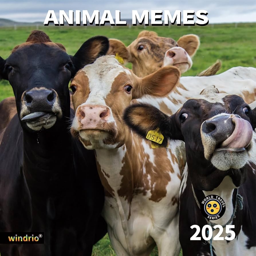 2025 Wall Calendar Funny Calendar 2025 January 2025 December 2025 Wall Calendar Funny Animal Memes 12