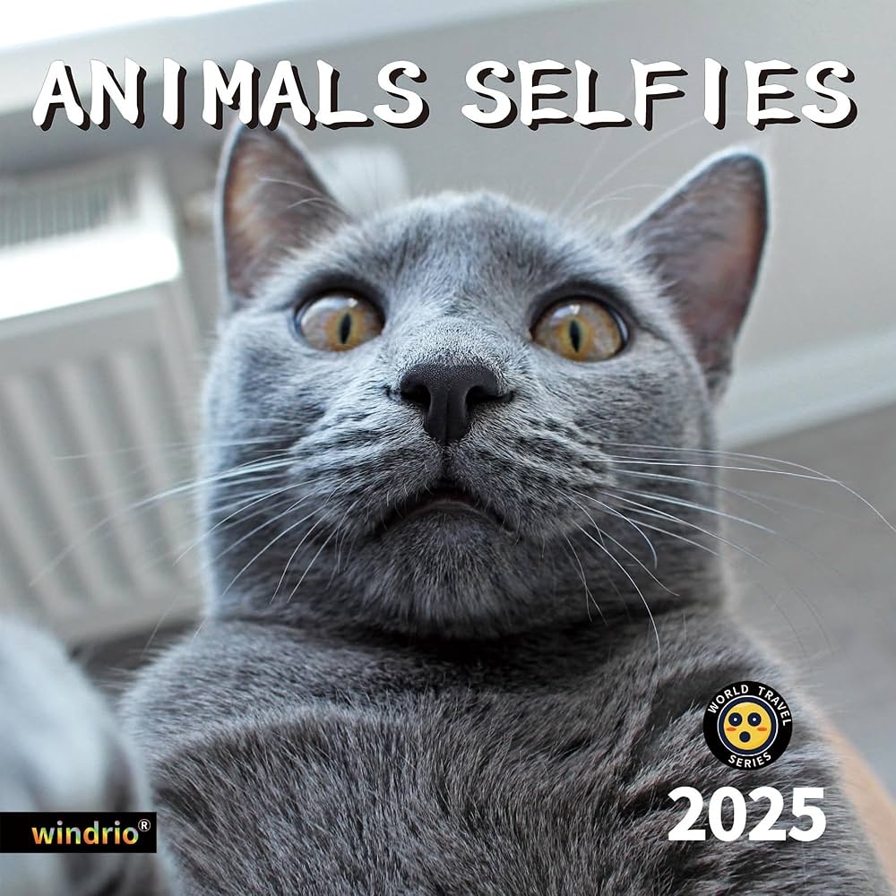 2025 Wall Calendar Funny Calendar 2025 January 2025 December 2025 Wall Calendar Funny Animal Memes 12
