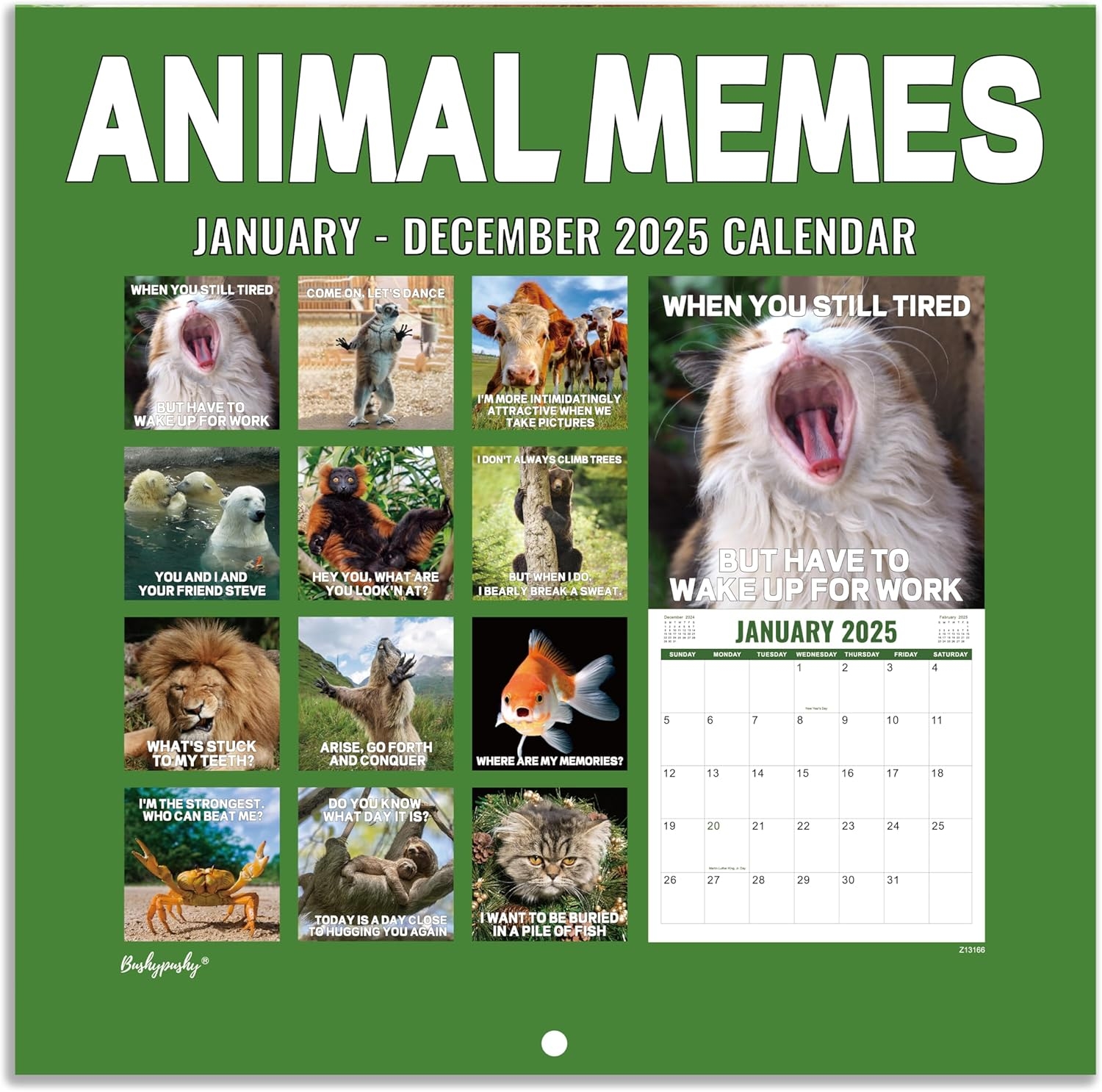 2025 Wall Calendar Funny Calendar 2025 With Animal Nigeria Ubuy