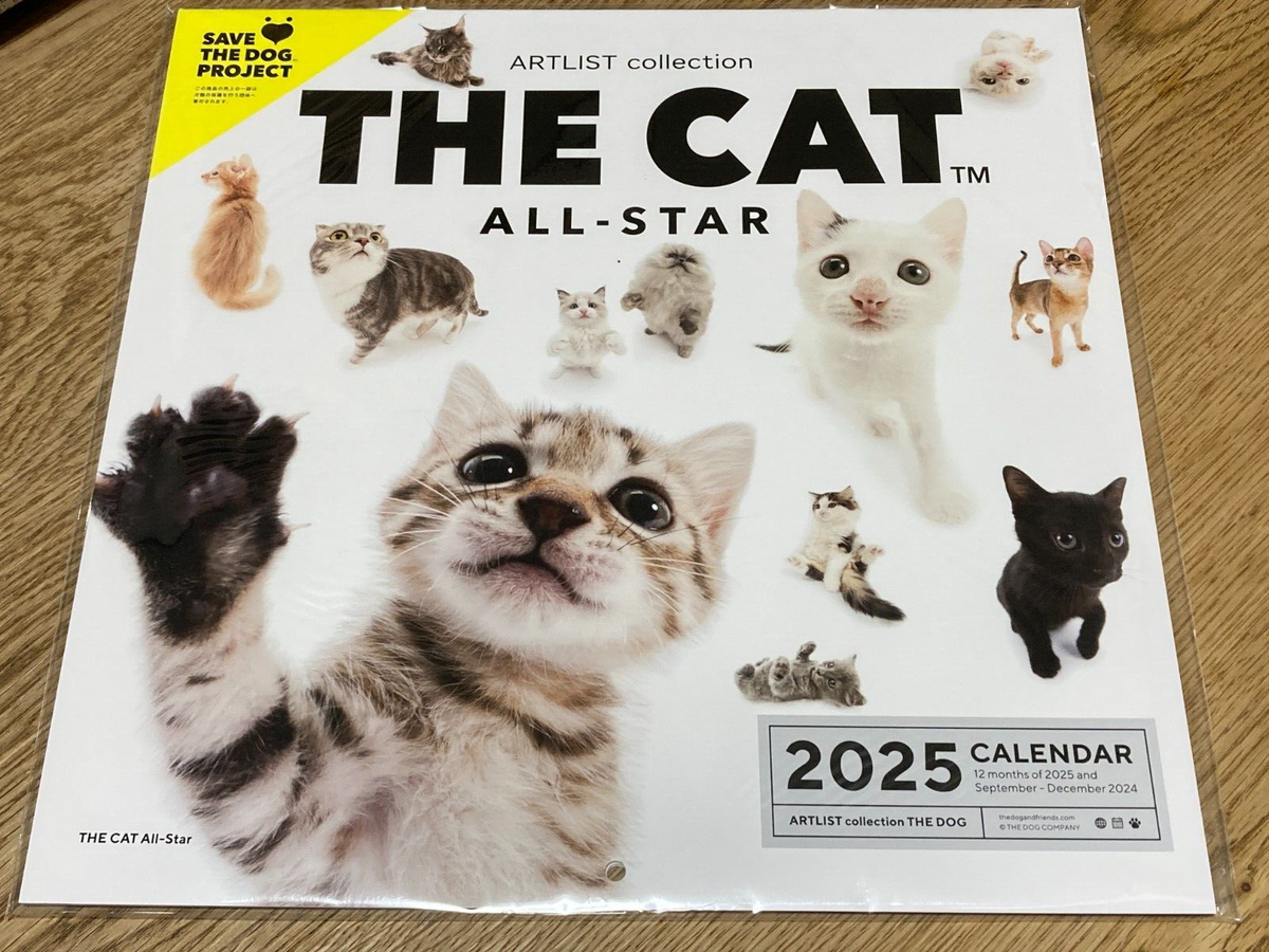 2025 Wall Calendar THE CAT ALL STAR ALLSTAR Cats ARTLIST Collection From Japan EBay