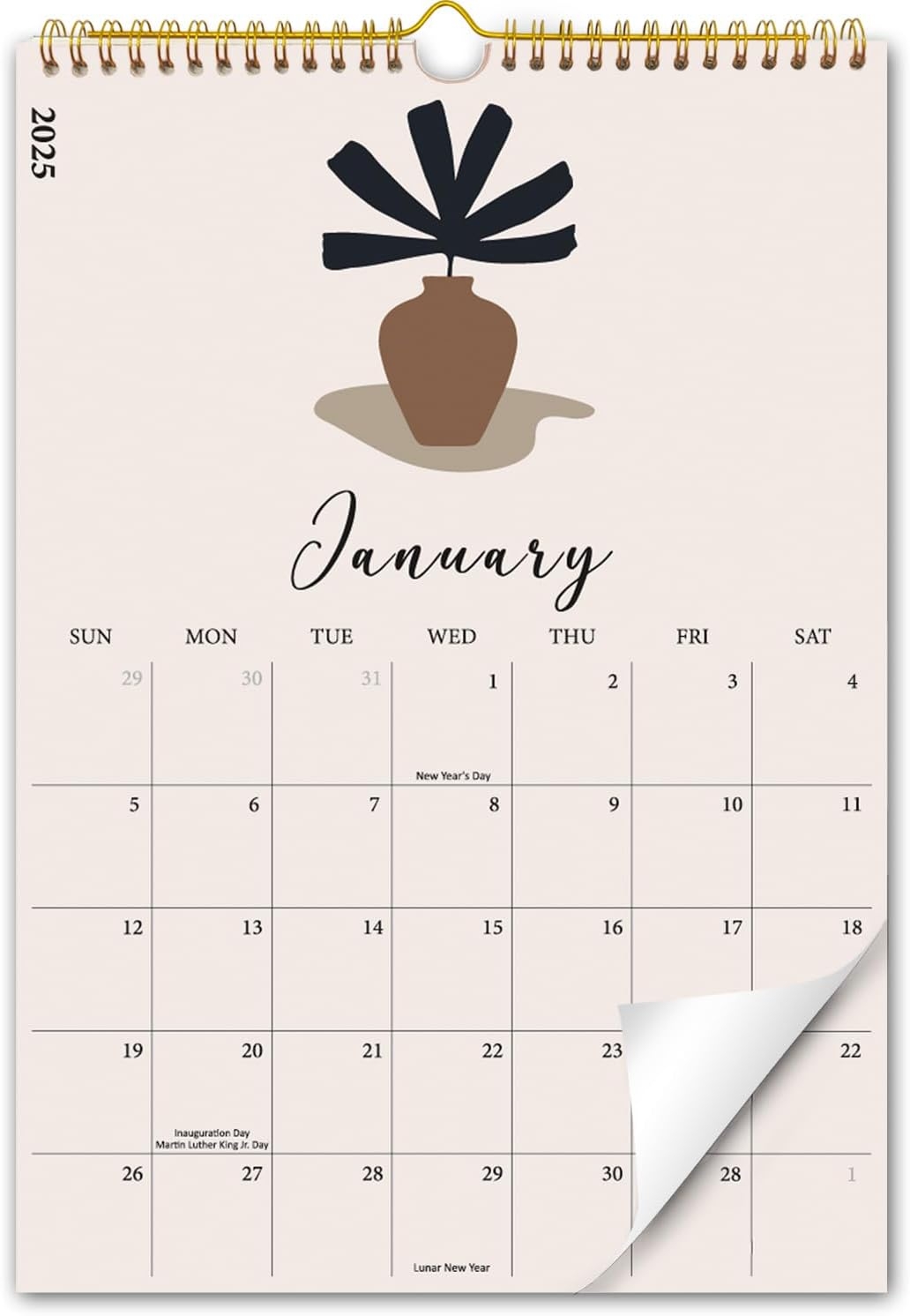 Aesthetic 2024 2025 Wall Calendar Runs From Now To India Ubuy