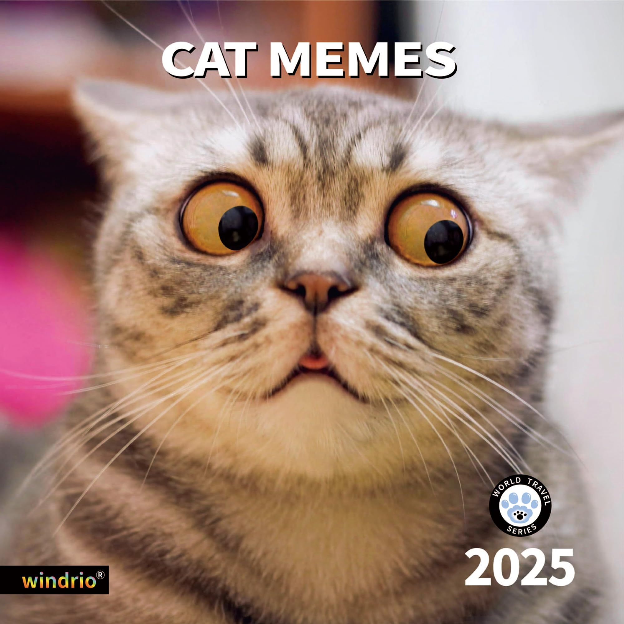 Amazon 2025 Wall Calendar Funny Calendar 2025 January 2025 December 2025 Wall Calendar Funny Animal Memes 12