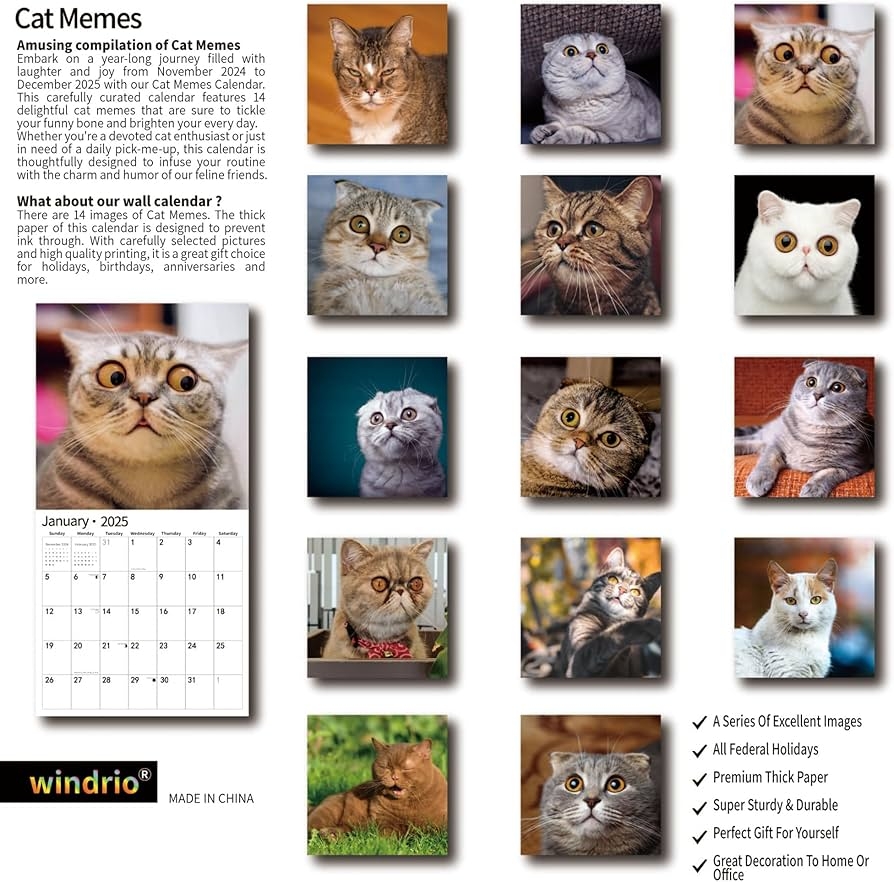 Amazon 2025 Wall Calendar Funny Calendar 2025 January 2025 December 2025 Wall Calendar Funny Animal Memes 12