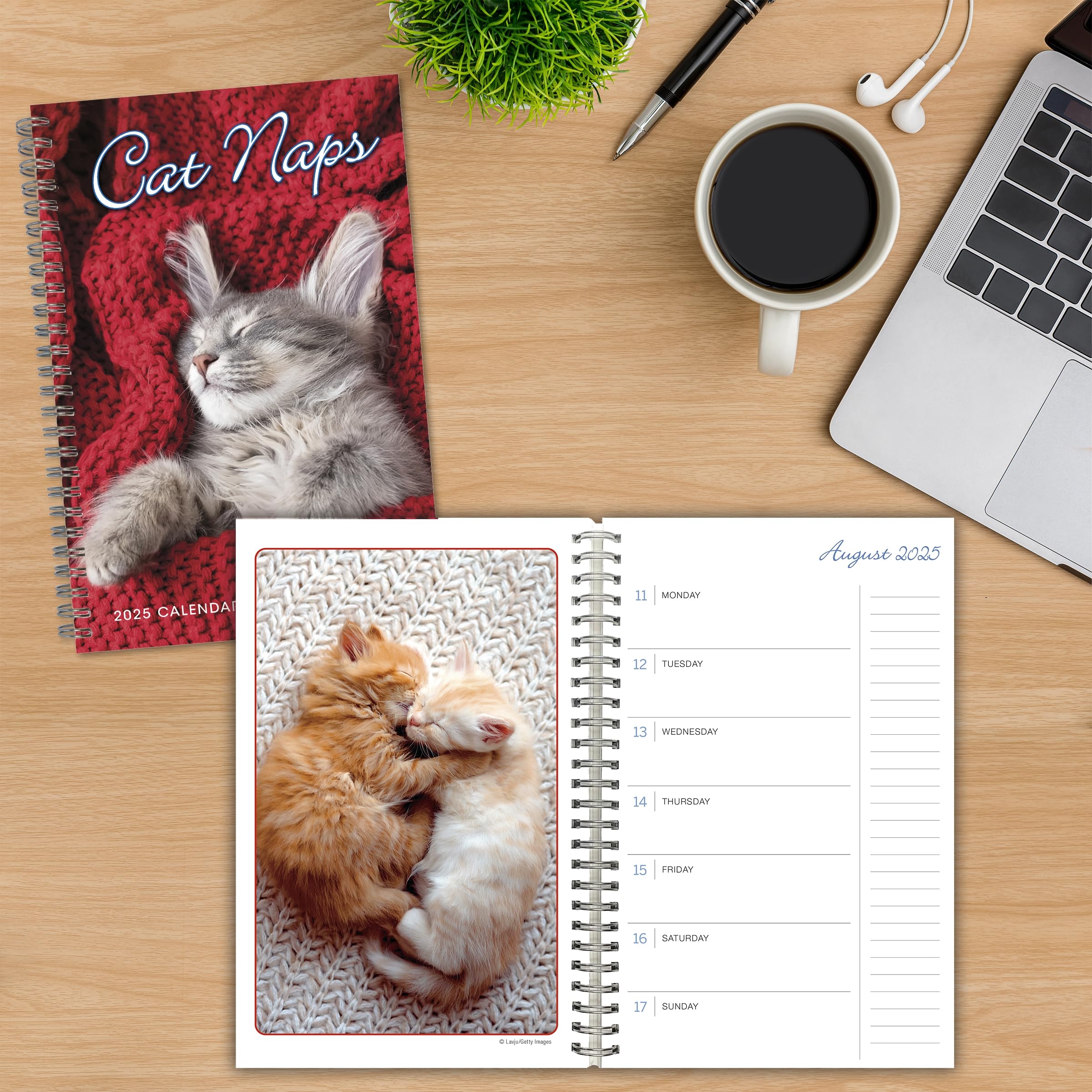Amazon Cat Naps 2025 Weekly U0026 Monthly Planner 16 Month Engagement Calendar September 2024 December 2025 9