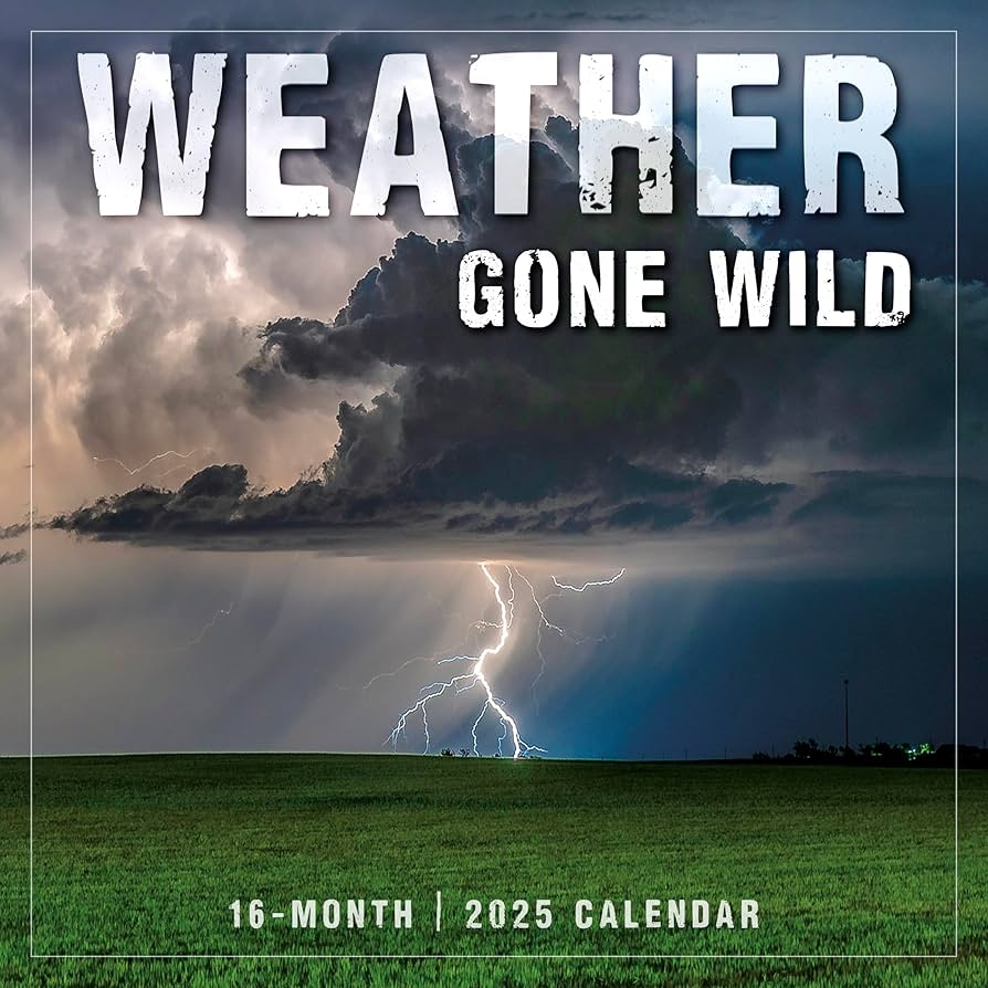 Amazon Weather Gone Wild 2025 Wall Calendar 16 Month Nature 
