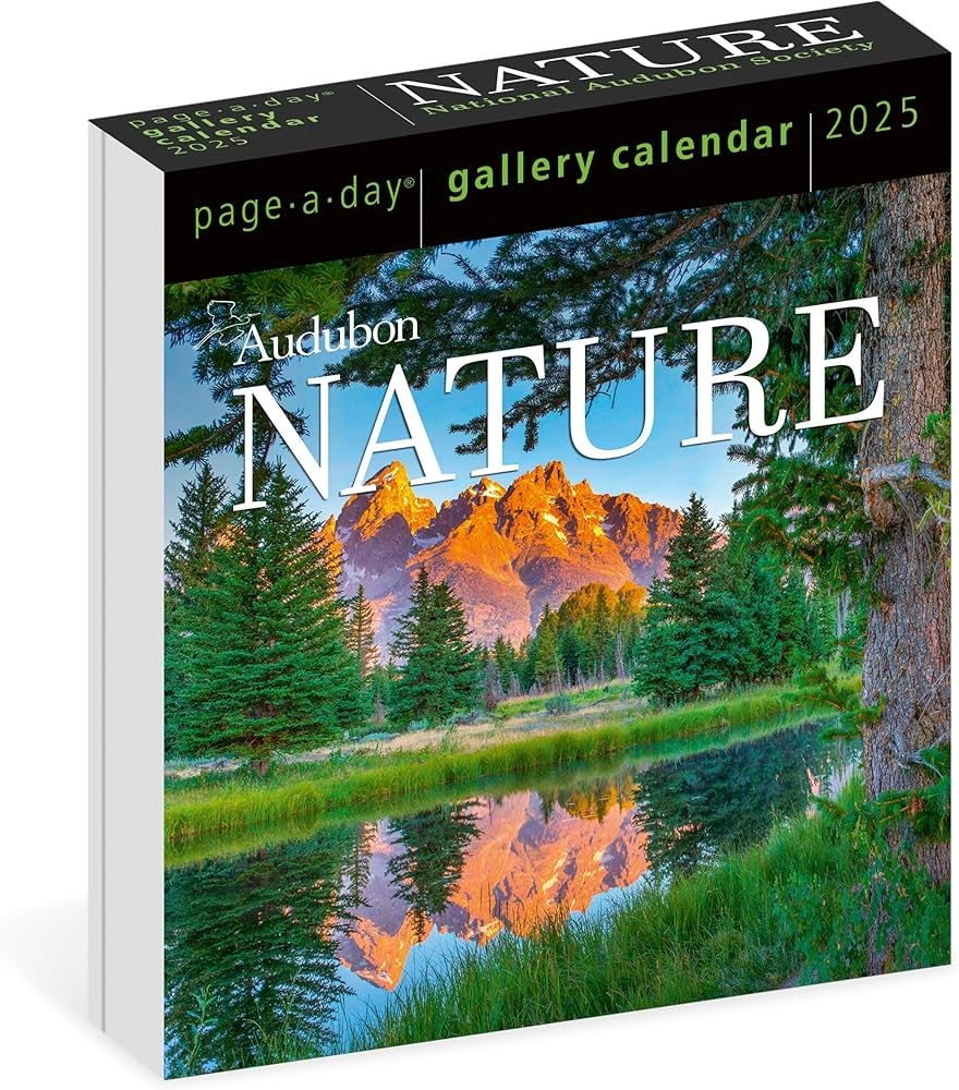 National Calendar Day August 2025