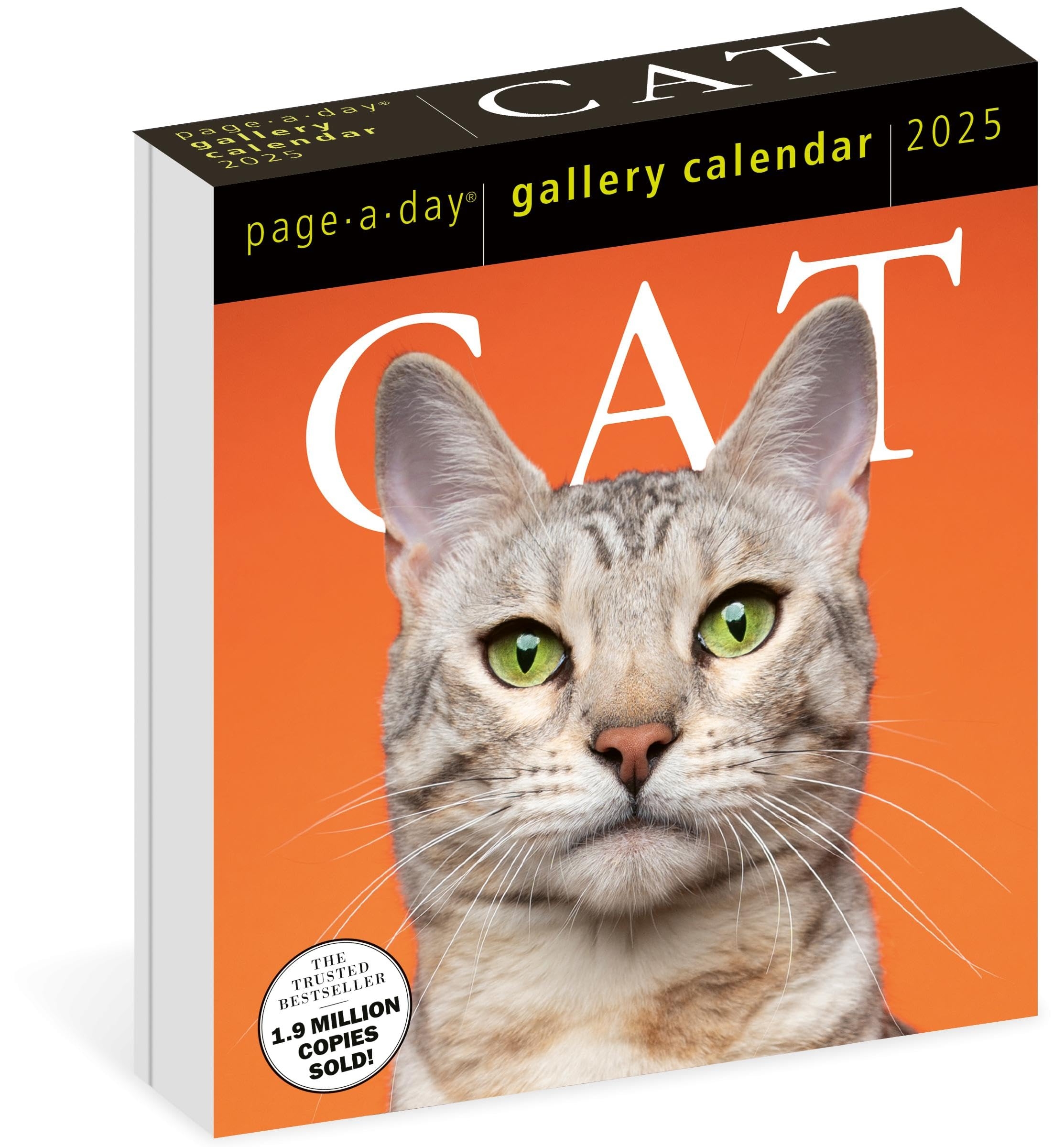 August 2025 Calendar Cats