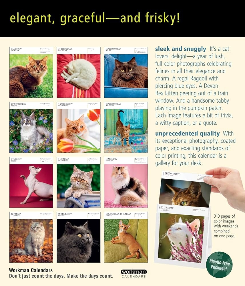 Cat Page A Day Gallery Calendar 2025 A Delightful Gallery Of Cats For Your Desktop Workman Calendars 9781523524716 Amazon Books