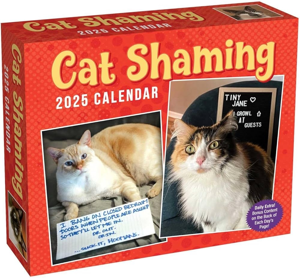 Cat Shaming 2025 Day to Day Calendar Andrade Pedro 9781524889319 Amazon Books