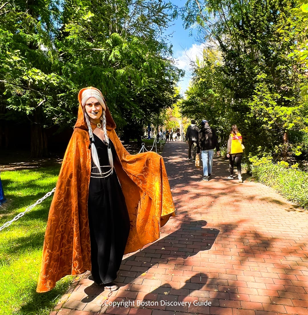 Halloween In Salem Massachusetts 2025 Witch Museums Halloween Parade