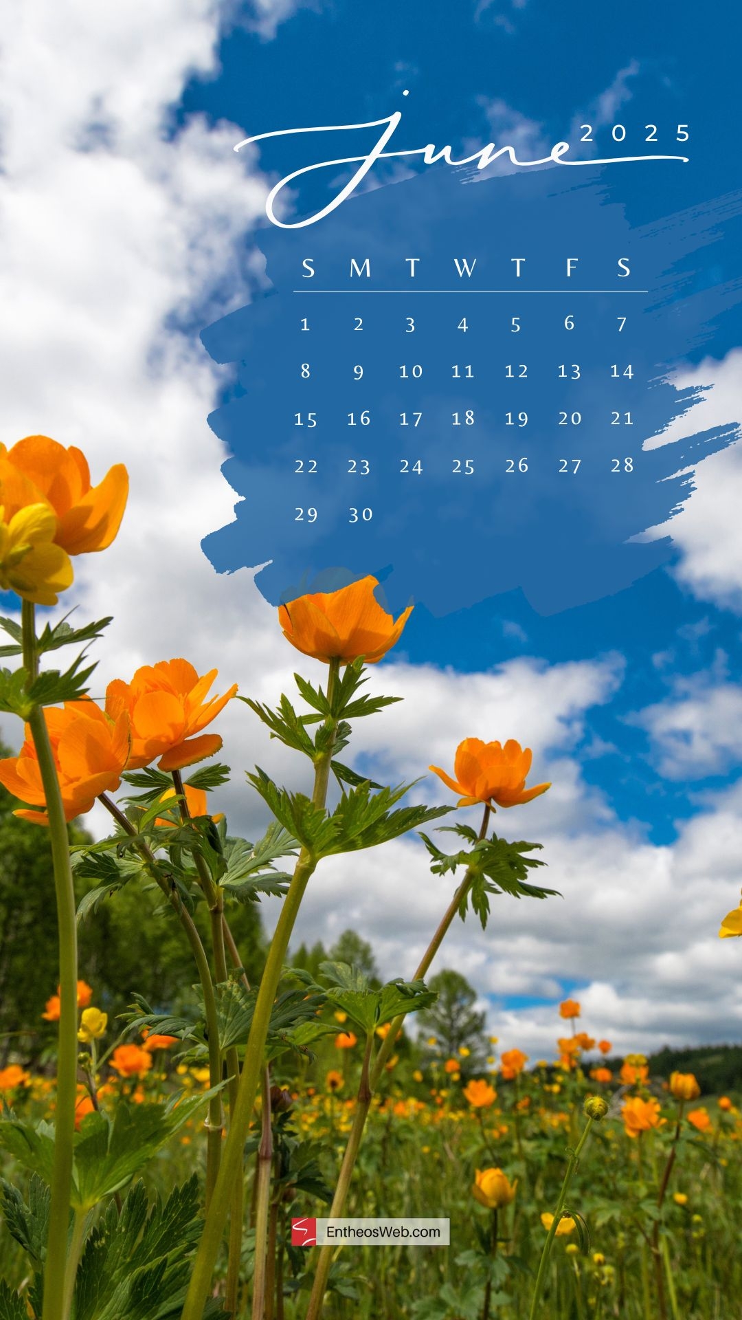 Aesthetic June 2025 Calendar
