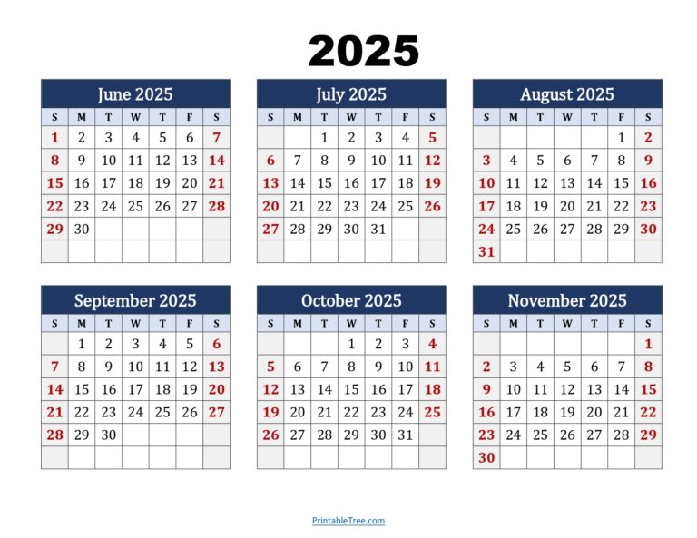 June To November 2025 Calendar Printable PDF Six Months Calendar