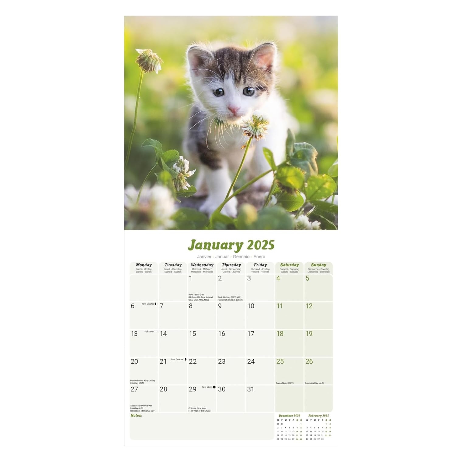 Kittens Calendar 2025 Square Wall Kitten Cat Calendar 16 Month Wall Calendar September 2024 To December 2025 With Free Organisational Stickers 