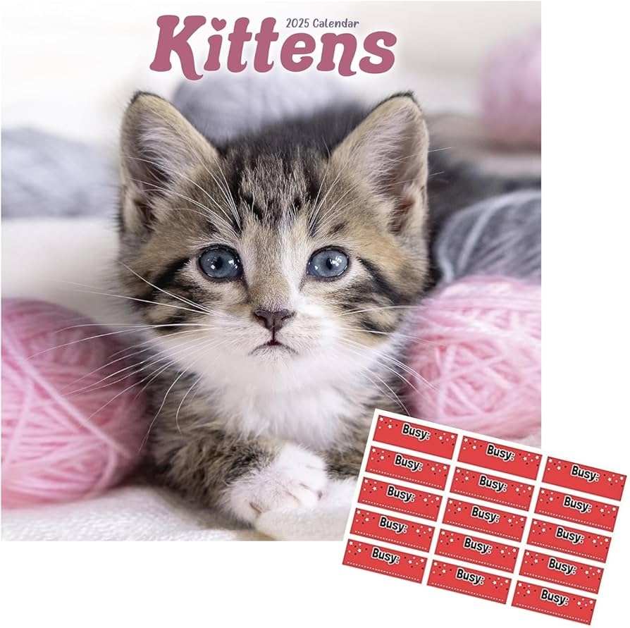 Kittens Calendar 2025 Square Wall Kitten Cat Calendar 16 Month Wall Calendar September 2024 To December 2025 With Free Organisational Stickers 