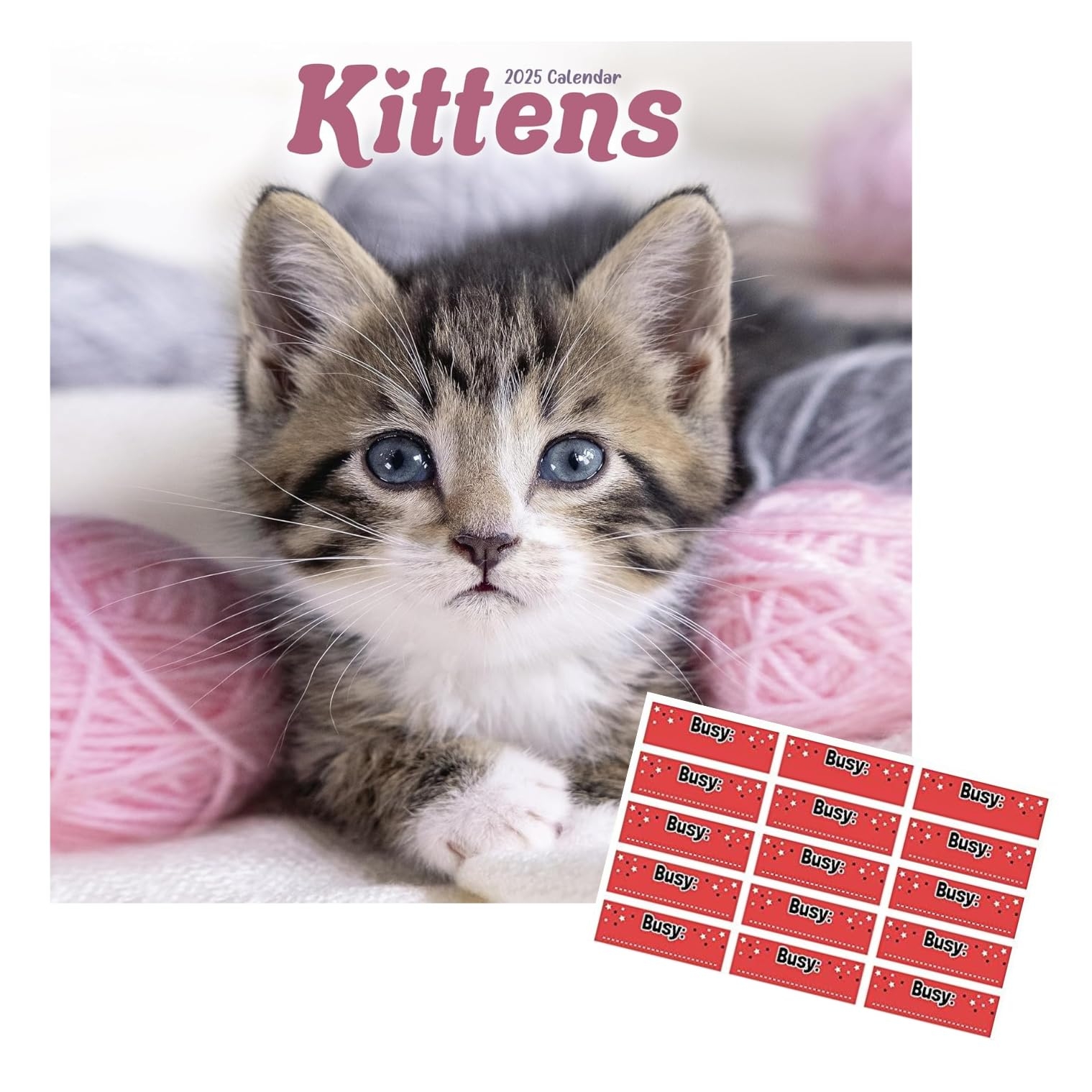 Kittens Calendar 2025 Square Wall Kitten Cat Calendar 16 Month Wall Calendar September 2024 To December 2025 With Free Organisational Stickers 