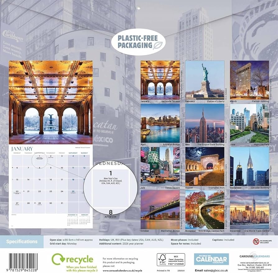 New York Wall Calendar 2025 PFP Wall Calendars Amazon au