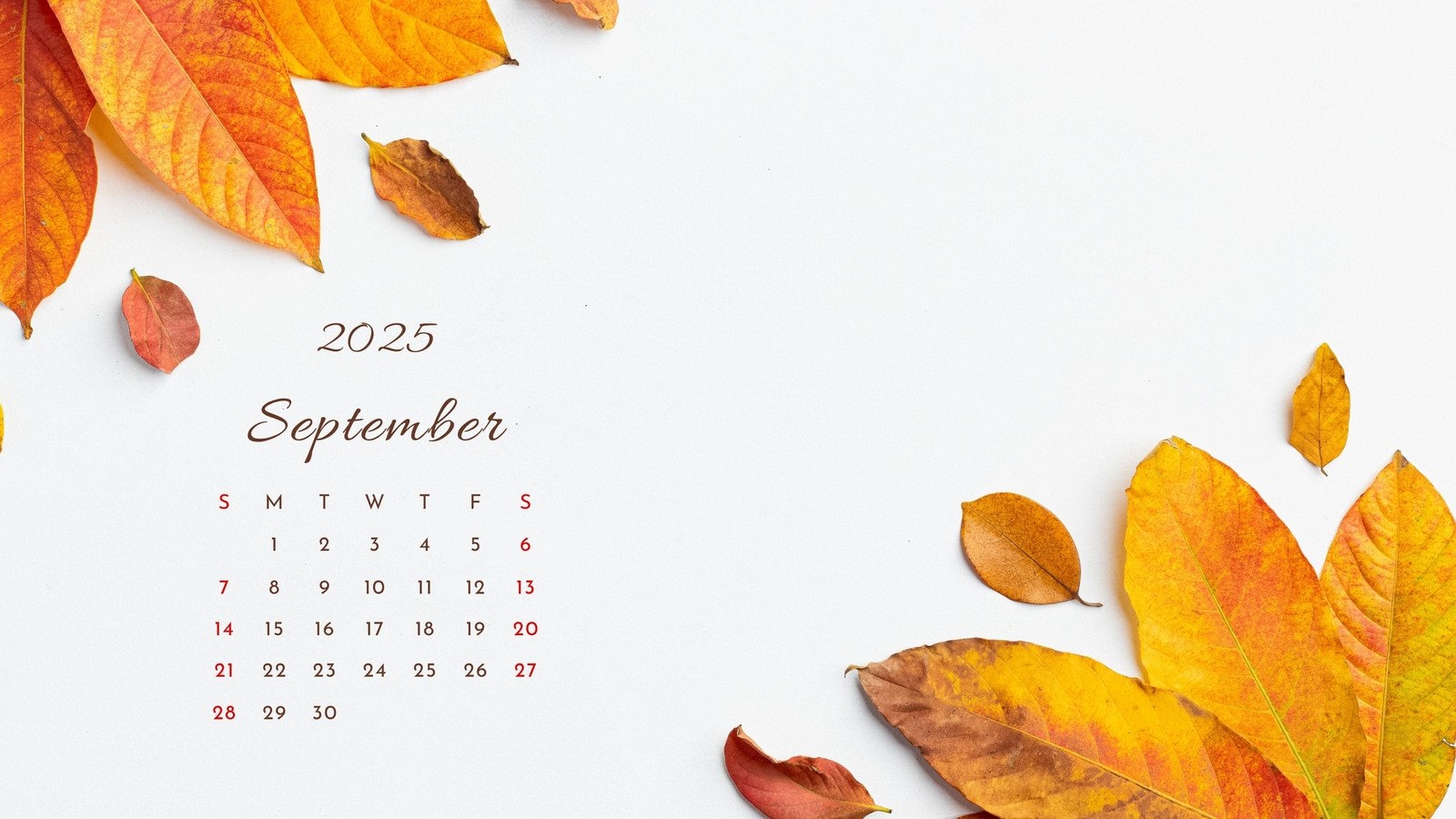 Page 5 Free Customizable Autumn Desktop Wallpaper Templates Canva
