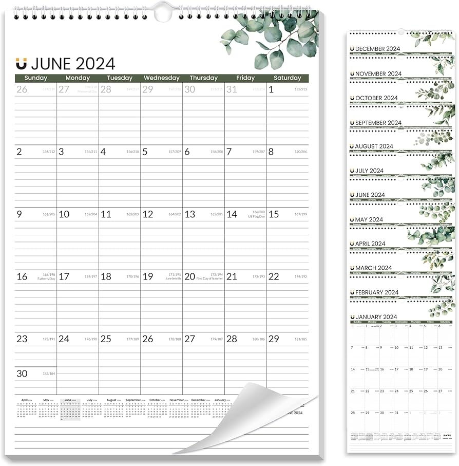 SUNEE 2023 2025 Wall Calendar 12 X 17 November 2023 To June 2025 20 Months Hanging Monthly Calendar With Lines Leaves Pattern Amazon sg Office Products