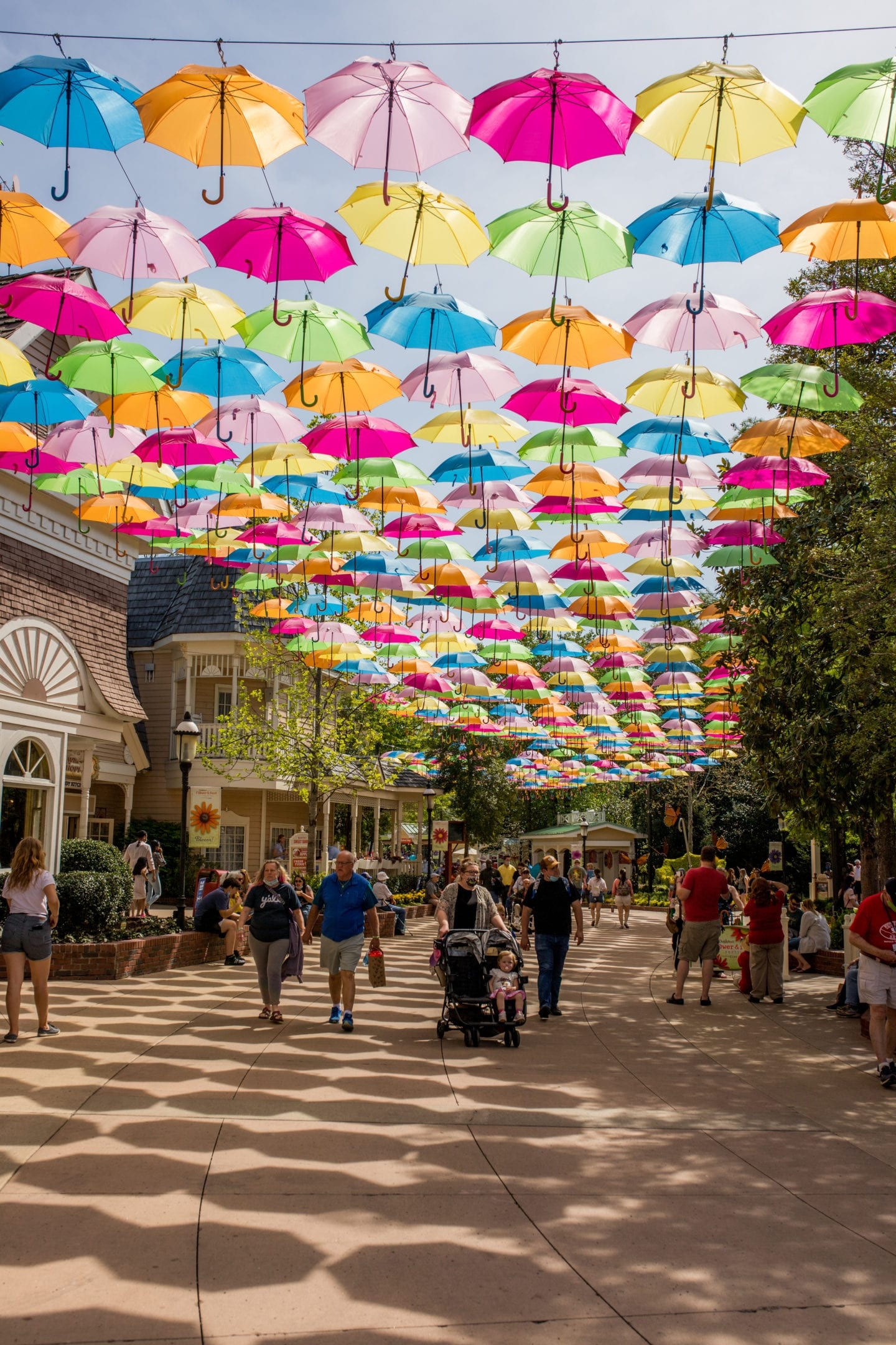 Dollywood Crowd Calendar August 2025